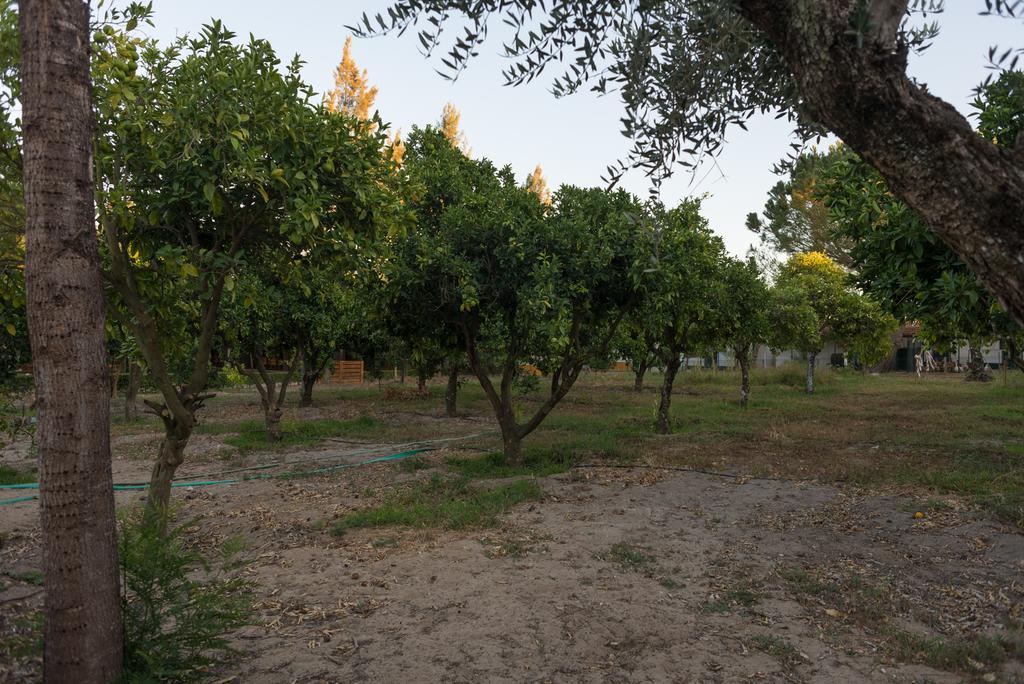 Quinta Da Mimosa Otel Fajarda Dış mekan fotoğraf